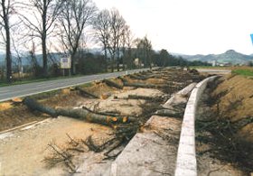 Lavori per l'Alta Velocit� (statale 551),  alberi tagliati.