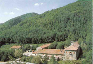 Moscheta d'estate. Foto di Duccio Berzi
